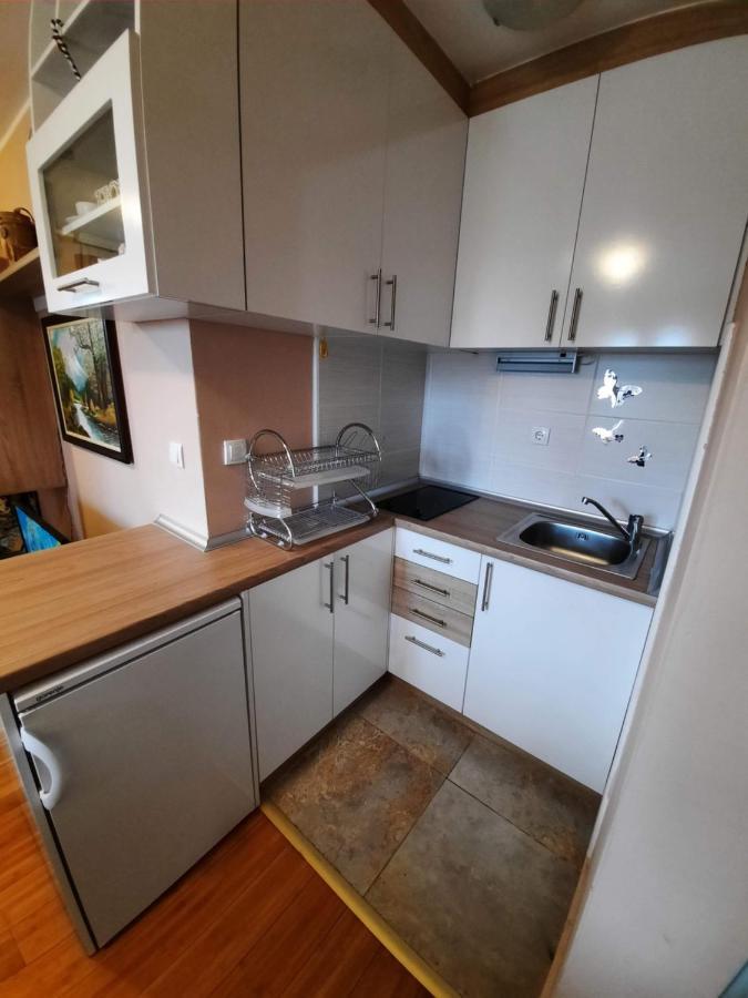 Fit Apartman Zlatibor Bagian luar foto