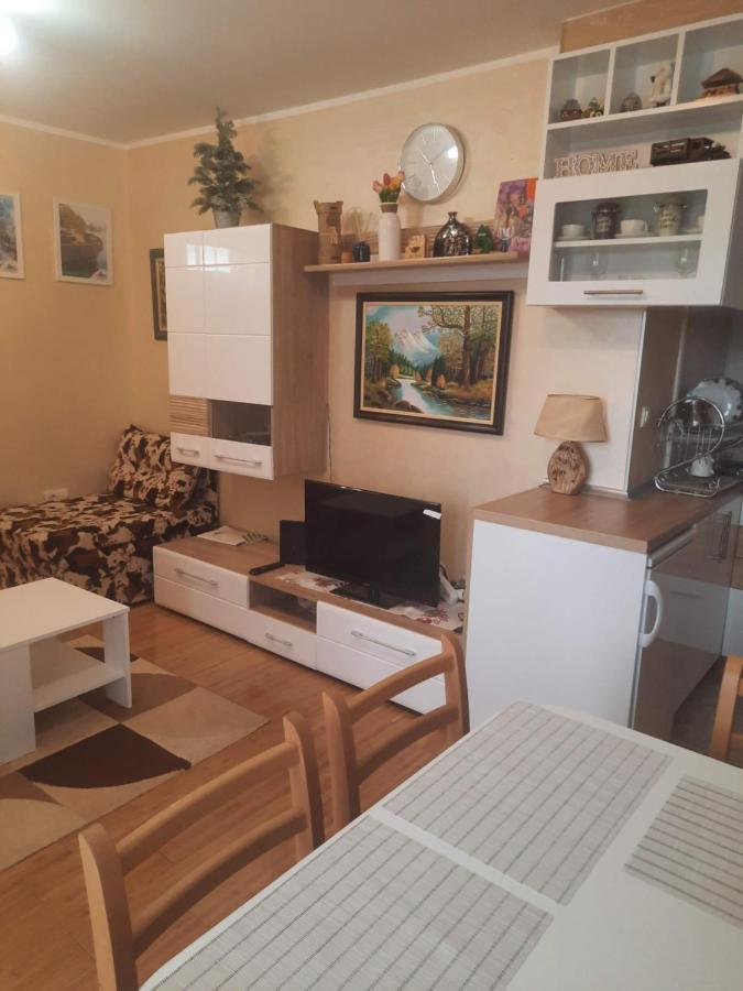 Fit Apartman Zlatibor Bagian luar foto