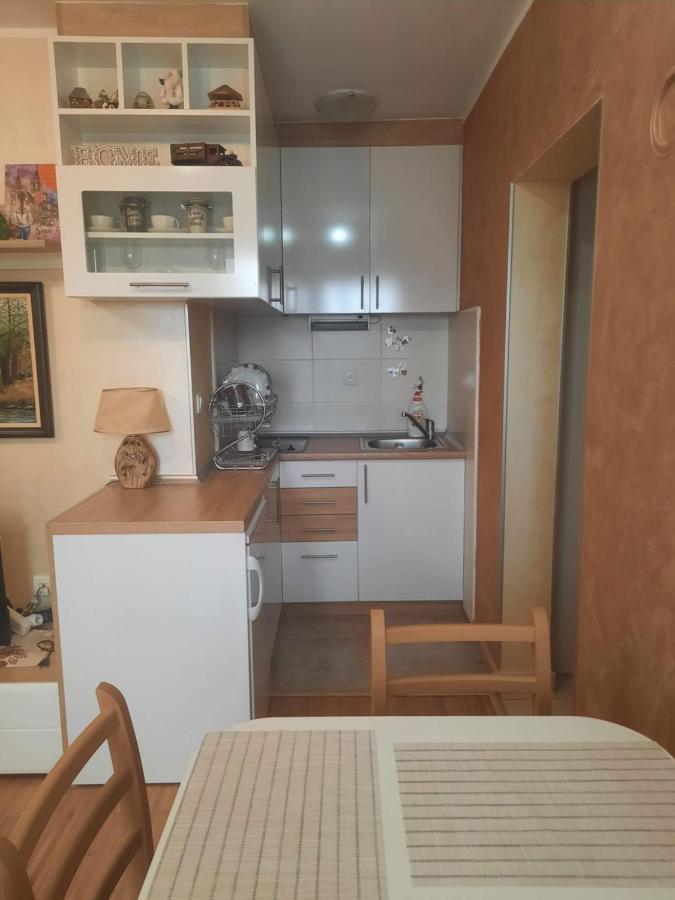 Fit Apartman Zlatibor Bagian luar foto